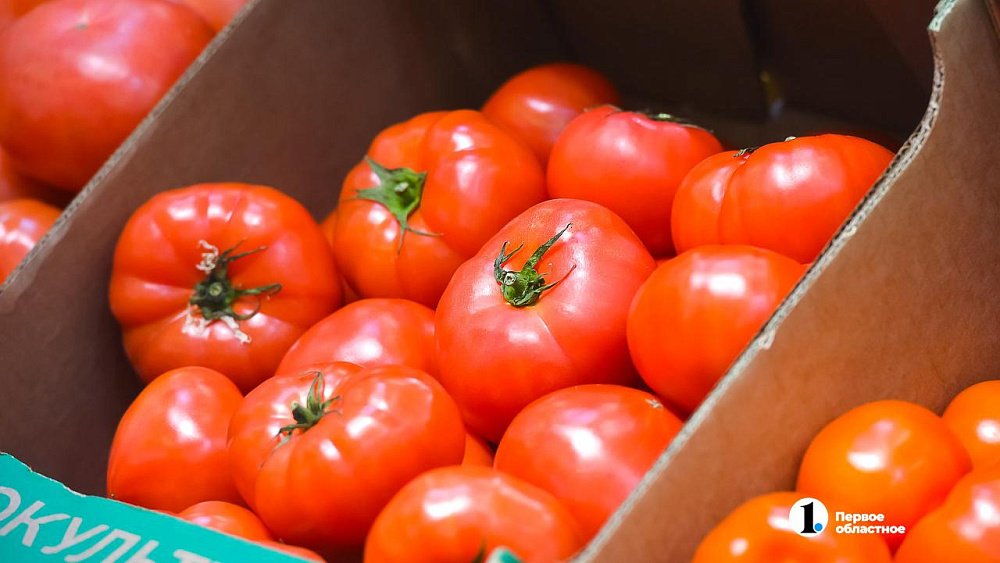В Челябинскую область завезли 18 тонн помидоров, зараженных томатной молью