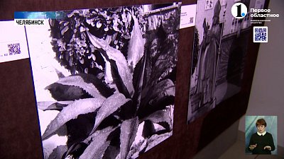 Челябинцы погружаются в кругосветку по городам