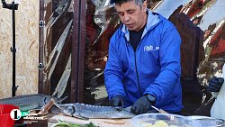 На ферме в Челябинской области вырос 15‑килограммовый осетр Петр