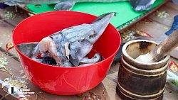 На ферме в Челябинской области вырос 15‑килограммовый осетр Петр