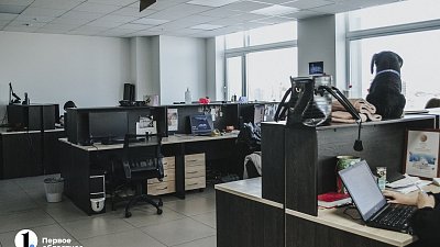 В Челябинске 41% работников имеют опыт служебных конфликтов