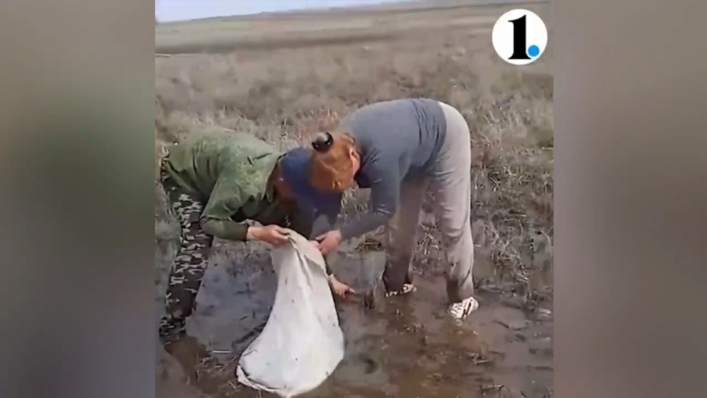 Во время паводка жители Челябинской области ловят рыбу руками в поле
