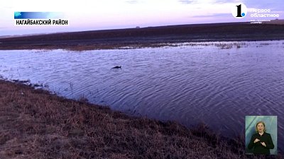 Имам спас семью из тонущей машины в Нагайбакском районе