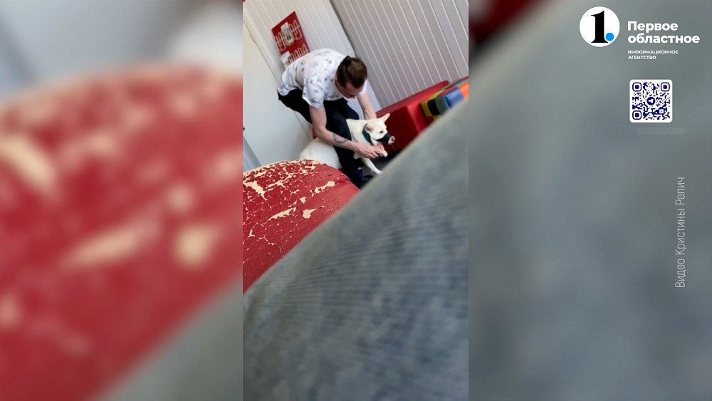 Челябинка возмутилась поведением кинолога