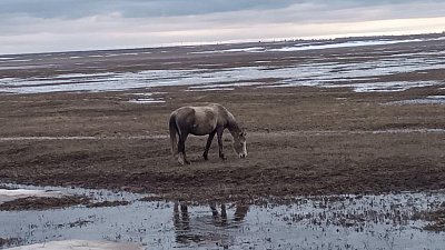 На юге Челябинской области снизился уровень воды после паводка