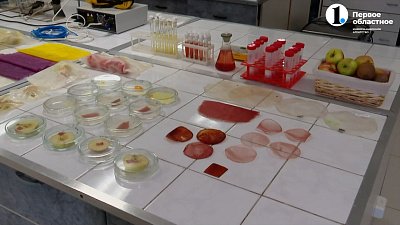 Южноуральские ученые предложили новые эко-разработки