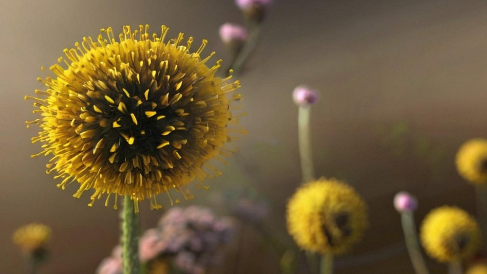 Что может спровоцировать аллергию