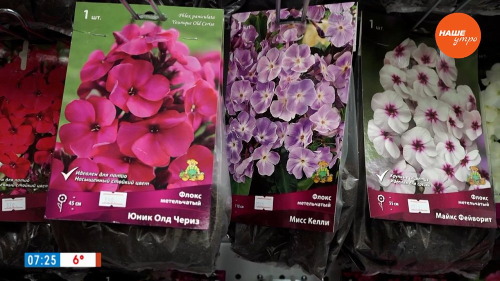 Самые русские цветы в рубрике «Руки садовода»