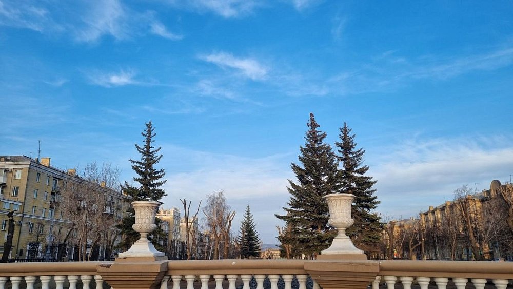 В Магнитогорске высадят около 300 деревьев в сквере Металлургов