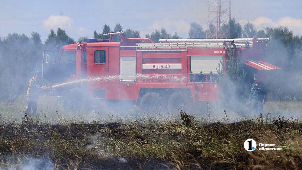 Челябинцам запретили разжигать костры в лесах и огородах