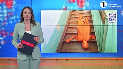 В Копейске будут судить мужчину, который расправился с бабушкой