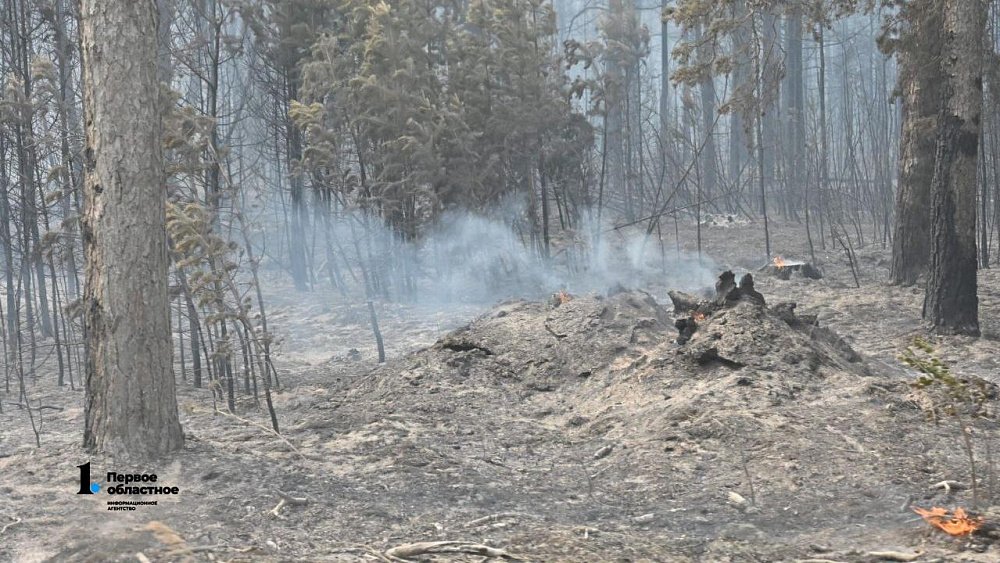 Пожароопасный сезон объявили в Челябинской области