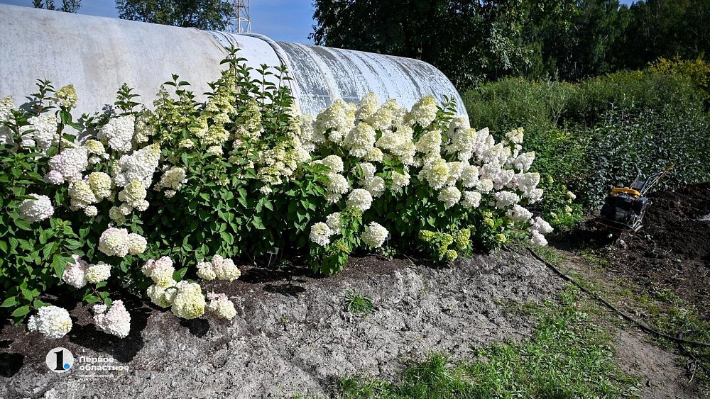 Челябинцы стали чаще покупать земельные участки