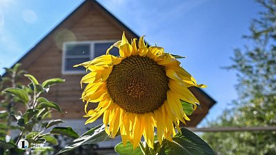 Загородные дома в Челябинской области подорожали почти в два раза