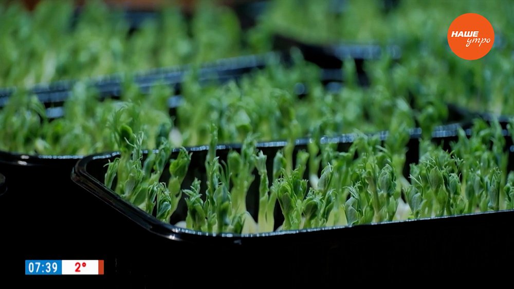 Владимир Бирюков в рубрике «Имя в истории»