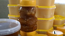 «Сладкая каторга»: как южноуральцы стали таксистами для пчел