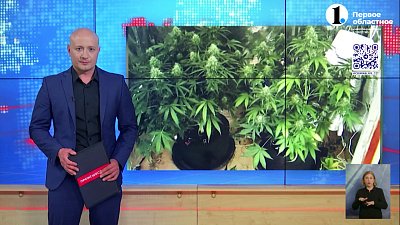 В Челябинске задержали наркосадовода