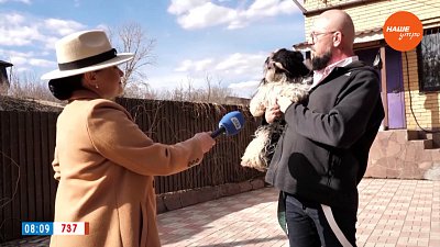 Ши-тцу в рубрике «Усы, лапы и хвост»