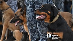 В Челябинске состоялась первая репетиция парада Победы