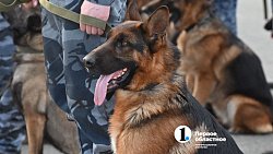 В Челябинске состоялась первая репетиция парада Победы