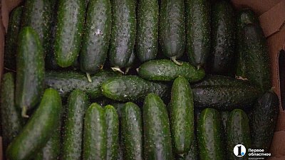 В Челябинской области больше всего снизились цены на огурцы