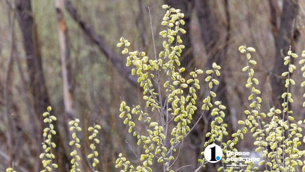 До южноуральцев дотянулся жаркий воздух Средиземноморья