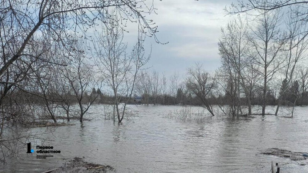В Чебаркульском районе действует режим ЧС из‑за паводка