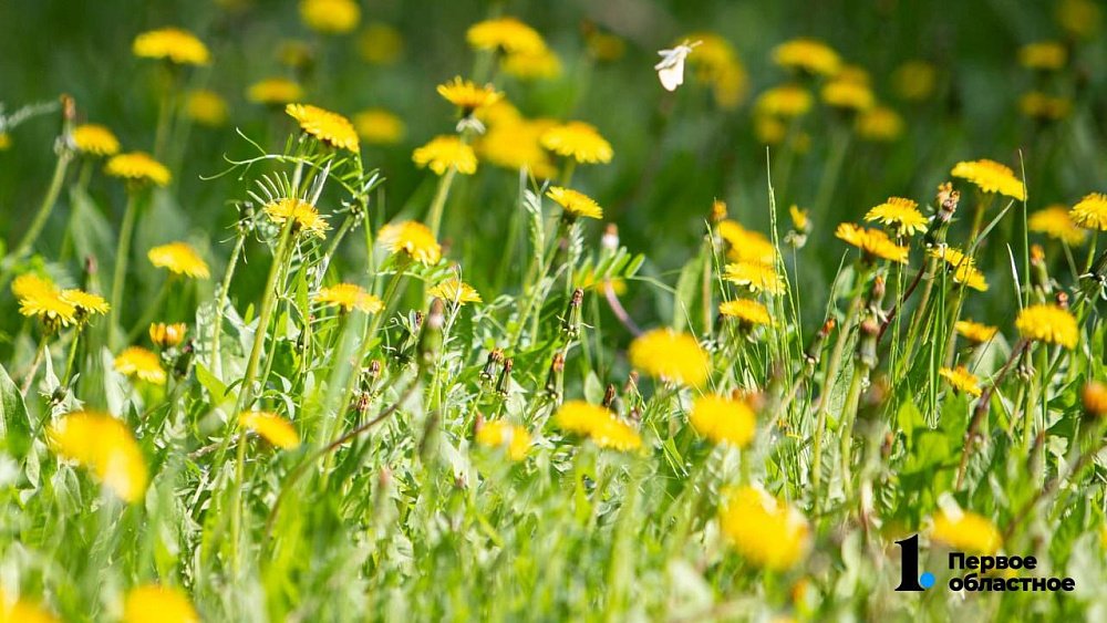 Гидрометцентр: нас ждет обычное южноуральское лето
