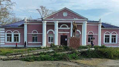 Чиновники объяснили причину вырубки многолетних елей в поселке под Челябинском