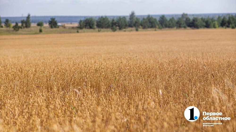 В Челябинской области изъять землю стало проще и быстрее