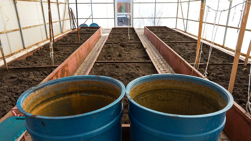 В Челябинске правление СНТ заставили публично извиниться перед садоводом