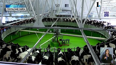 Карусель для коров: зачем животных катают на аттракционах в Еткульском районе