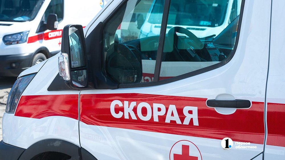 В Озерске госпитализировали старушку, которая развела в квартире «мангустов»