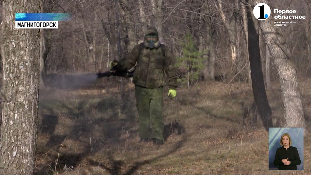 В Магнитогорске приступили к обработке парков и скверов от клещей