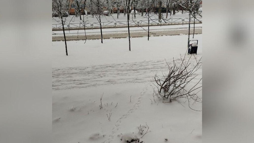 В конце апреля в Челябинской области выпал снег