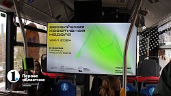 Челябинский мультфильм про кошку Фрикадельку покажут на федеральном канале