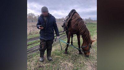 В Чебаркульском районе спасатели нашли заблудившегося мужчину