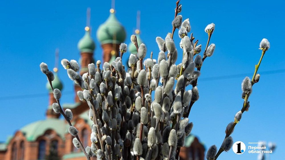 В Челябинске купить вербу можно за 40 рублей