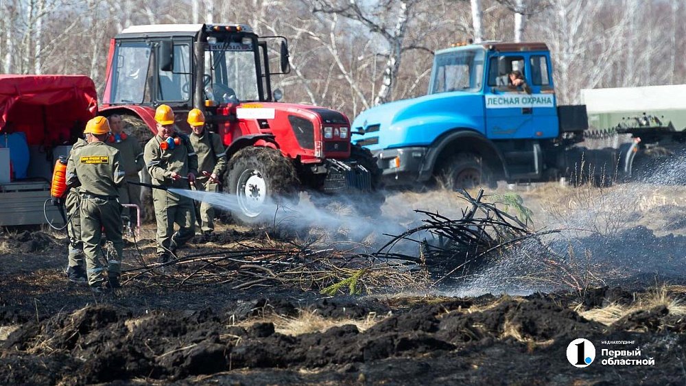 Более 30 человек оштрафовали за костры в лесах Челябинской области