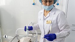 В челябинской ГБ № 8 после капремонта открыли отделение гнойной хирургии