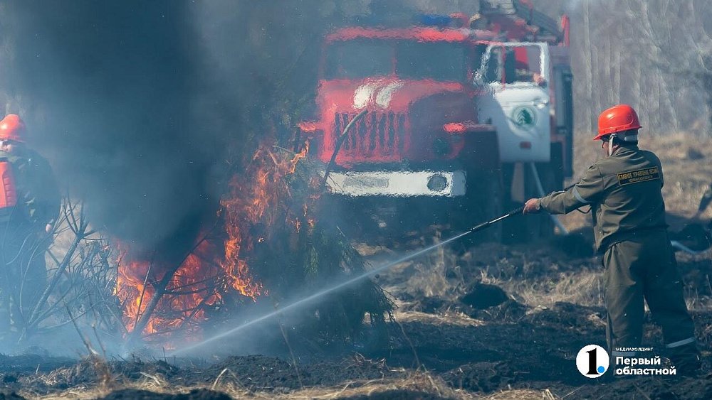 Экстренное предупреждение объявили в Челябинской области из‑за высокой пожарной опасности