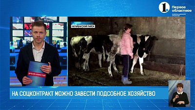 На соцконтракт челябинцы могут завести подсобное хозяйство