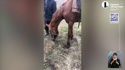 Южноуральские спасатели нашли потерявшегося мужчину