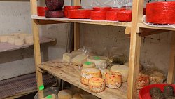 Семья из Миасса открыла собственную сыроварню