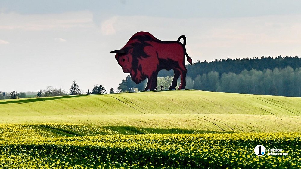 Три идеи для отдыха в Белоруссии