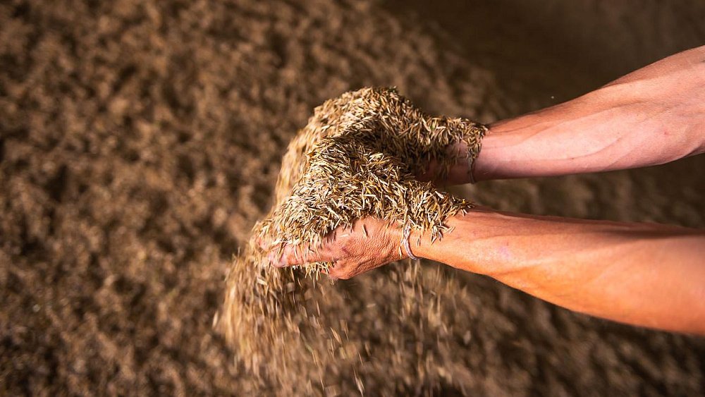 Аграрии Челябинской области приступили к севу яровых культур