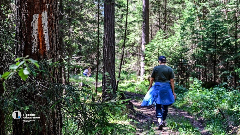 На майские праздники в Челябинской области усилят контроль за кострами в лесах