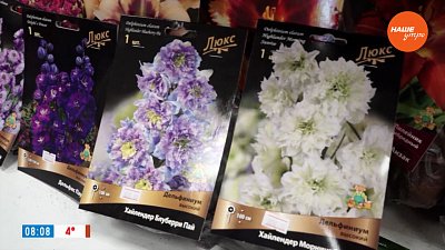 Не самые популярные, но очень красивые цветы в рубрике «Руки садовода»