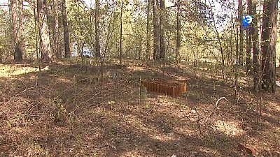 Захоронение домашних животных может быть опасно