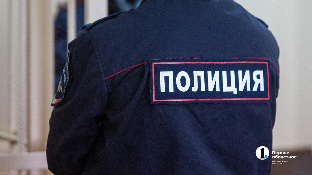 Челябинские полицейские задержали мужчину, ударившего девочку в живот